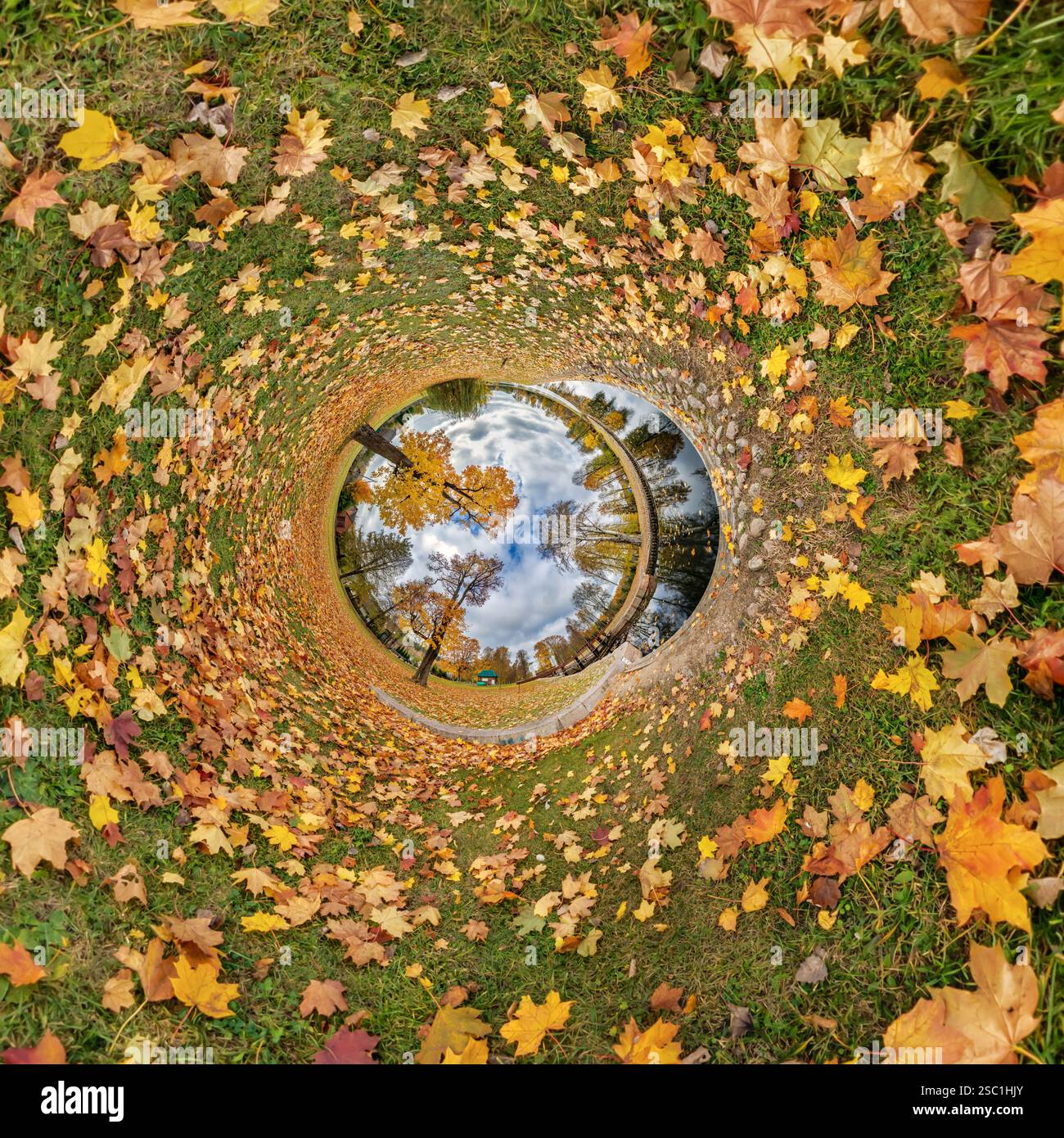 360 vr green yellow forest hi-res stock photography and images - Alamy