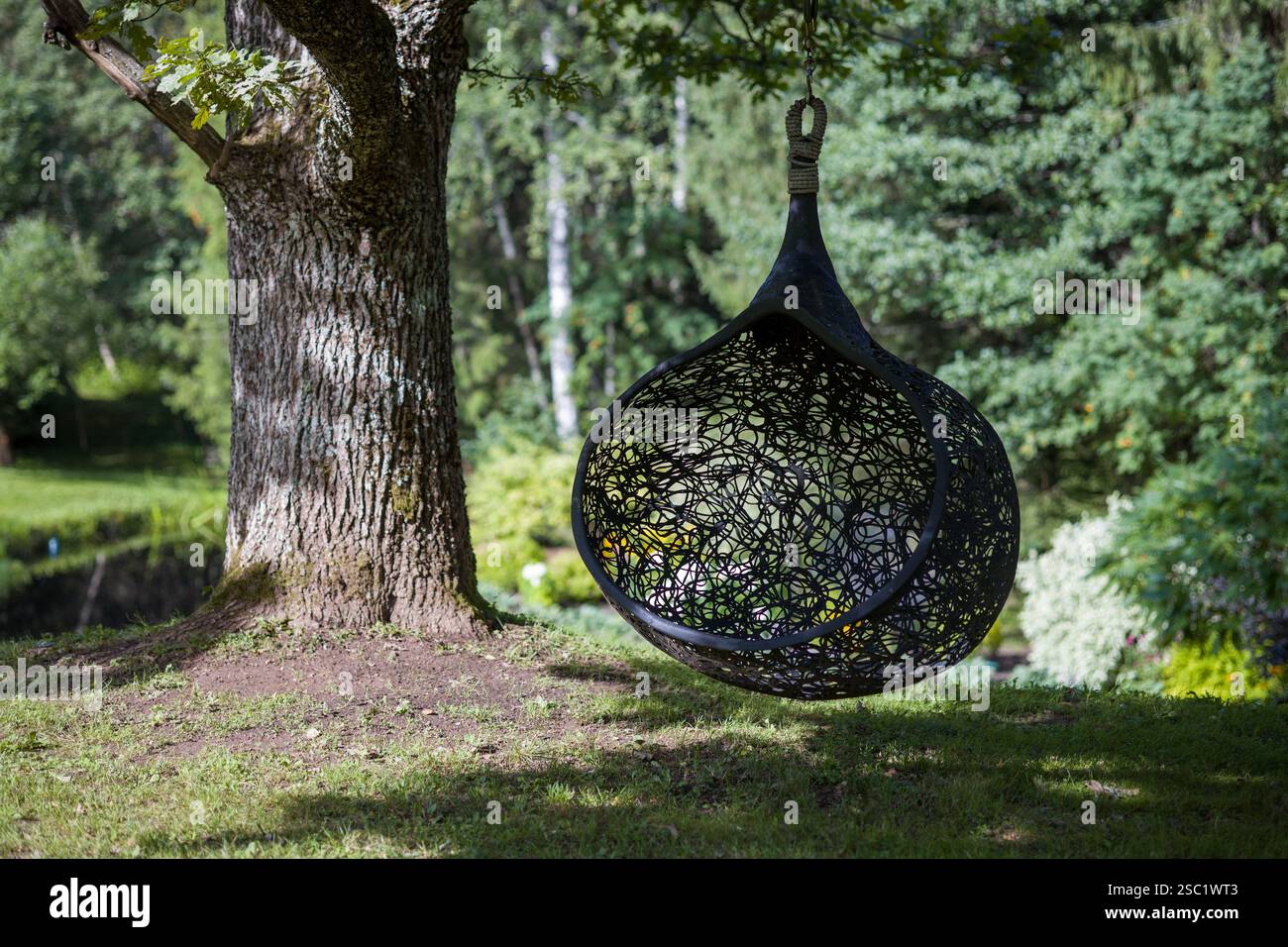 tree hanging egg chair