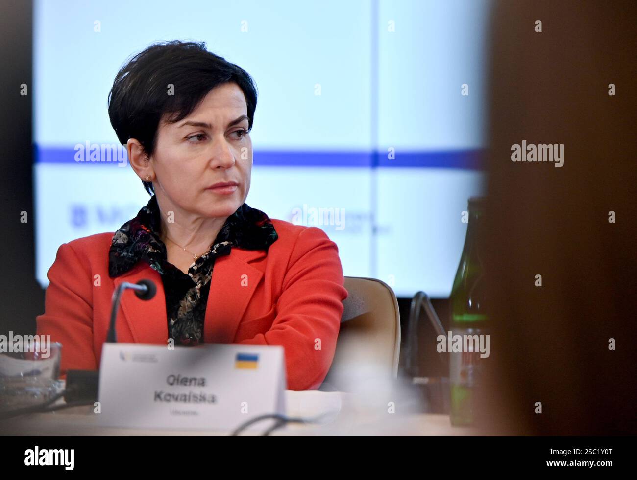 Non Exclusive: UZHHOROD, UKRAINE - FEBRUARY 1, 2025 - Deputy head of ...