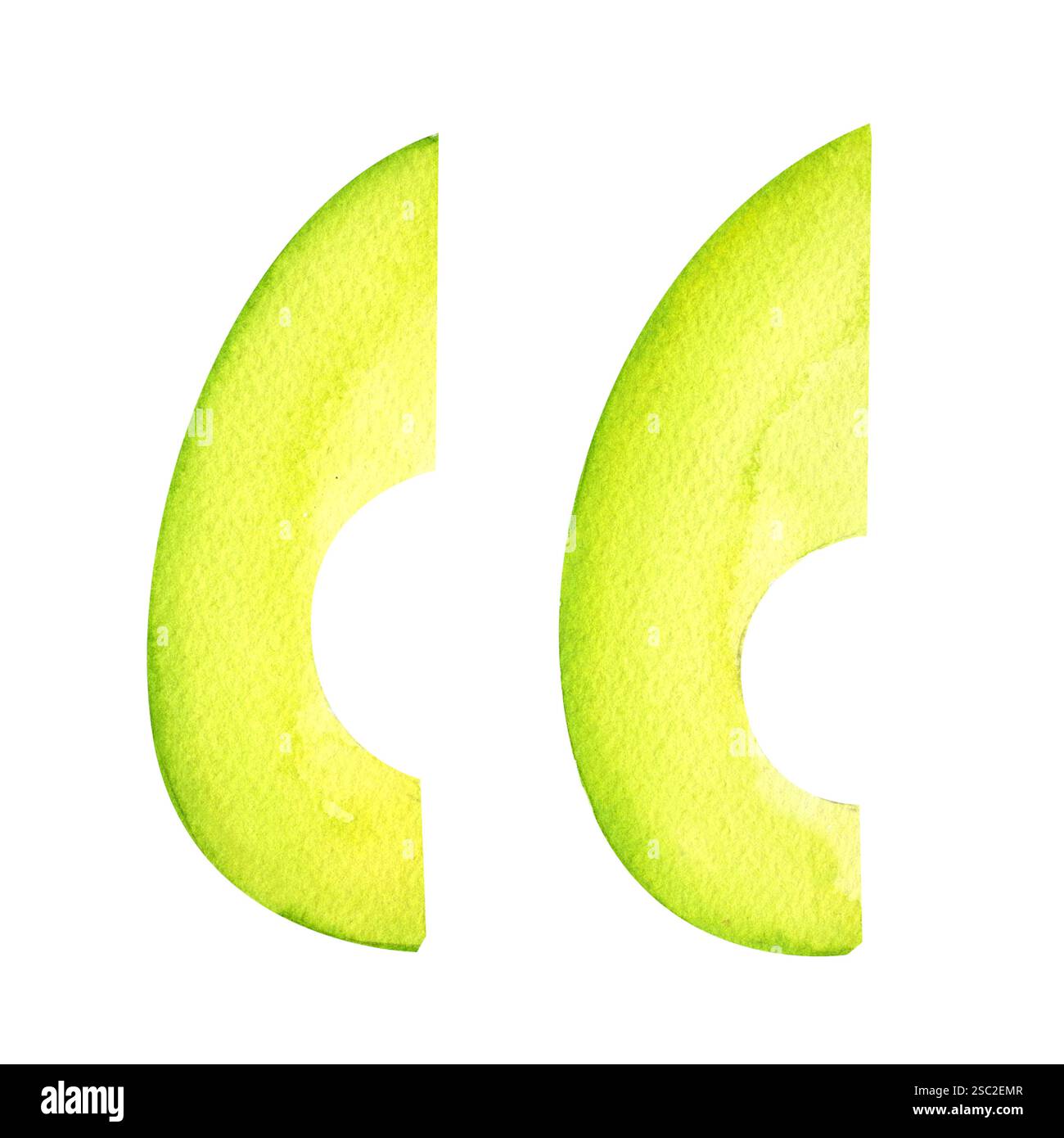 Sliced avocado pieces with a smooth texture and rich green color ...