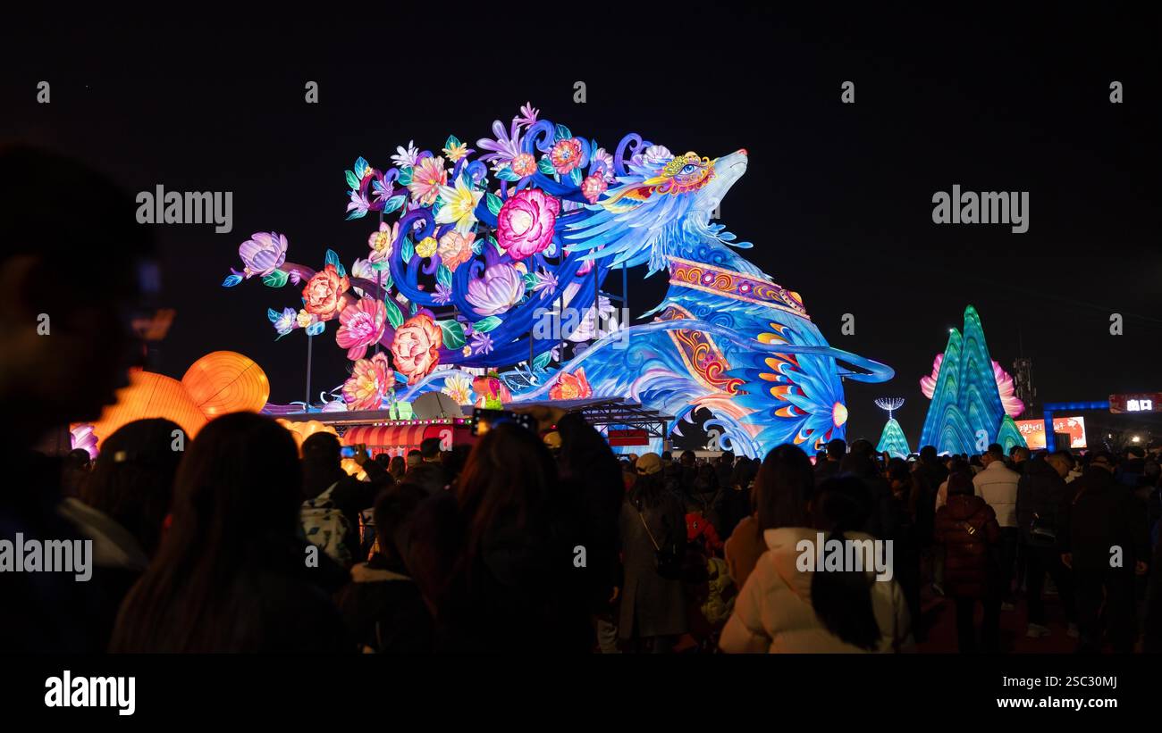 The 31st Zigong International Dinosaur Lantern Show attracts tourists ...