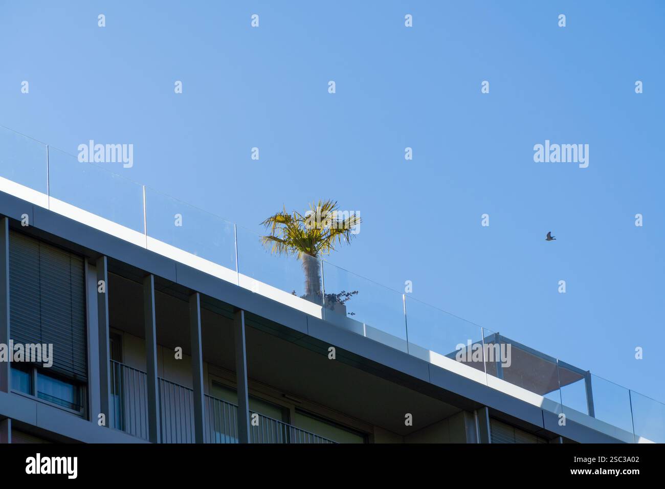 A closer look at Luxury Modern Apartment Buildings With Rooftop Pools