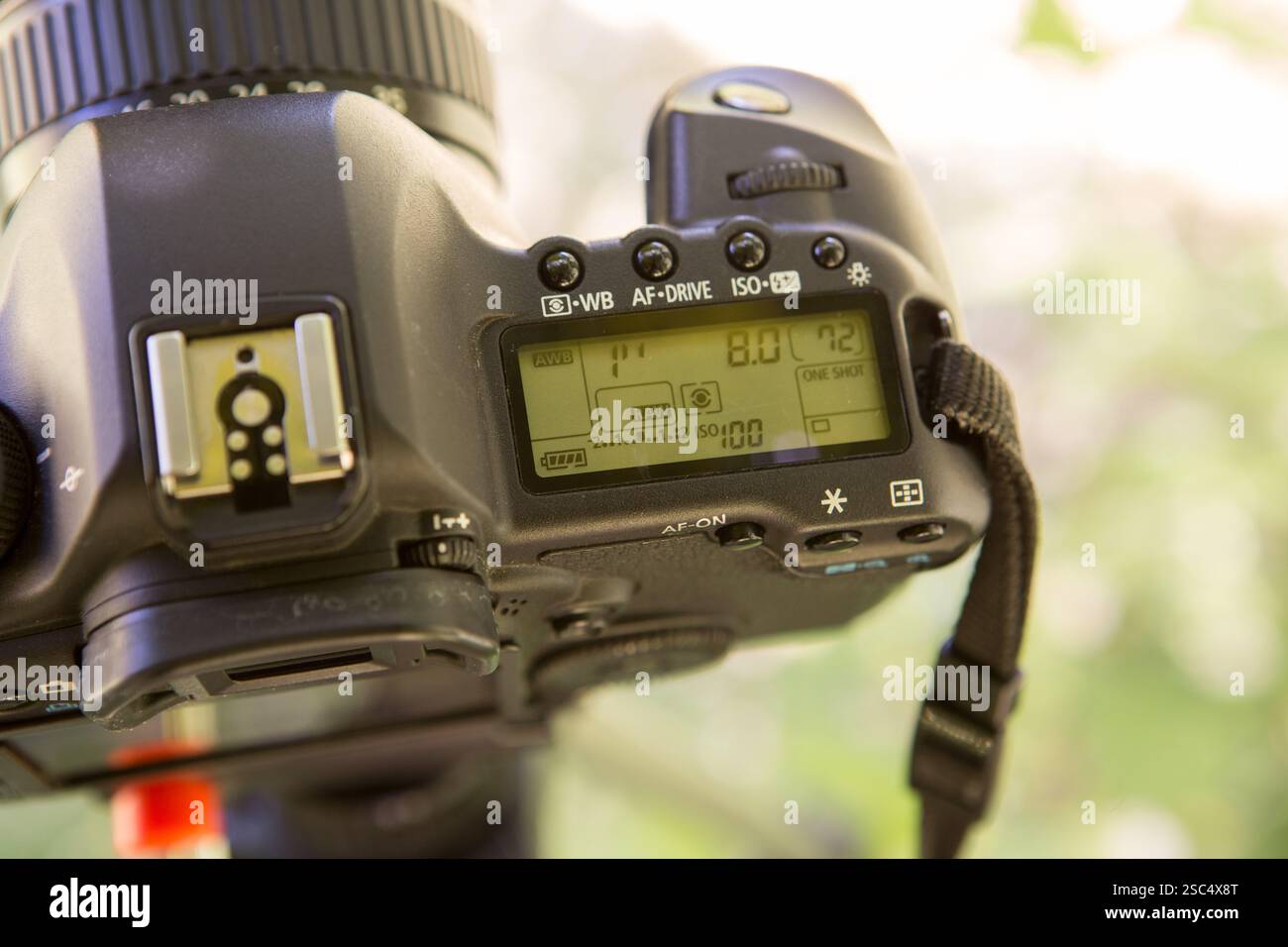 Neewer Dolly Carrello Base Di Treppiede Con Ruote In Gomma E Montatura Regolabile Di Gambe Per