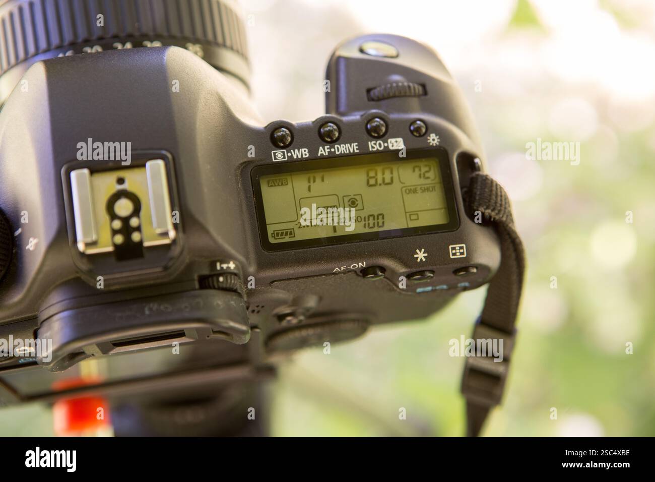 Gabbia Universale Per Fotocamere DSLR Con Piastra Sgancio Rapido - Compatibile Canon, Nikon, Sony E Panasonic - Foto 4