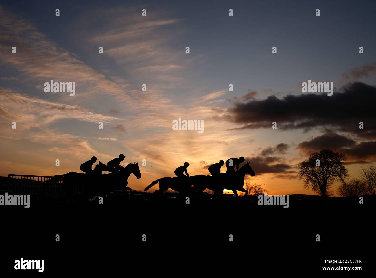 Pointer Chasing Runners and riders during the Pointing Pointers Chase Meredith Memorial ...