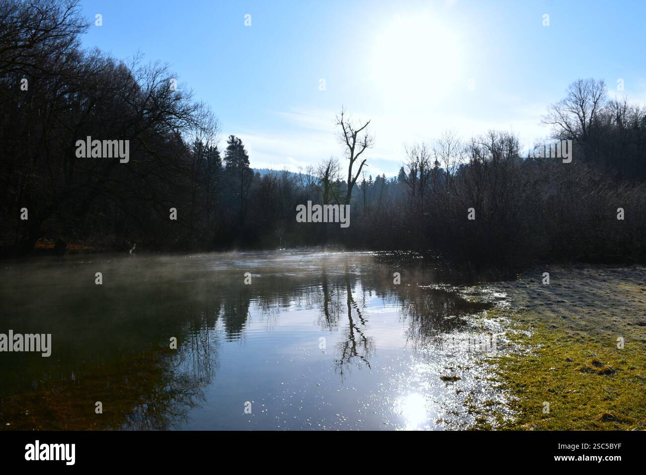 Mist over Rak river and a reflection of the tree in the water in Rakov ...