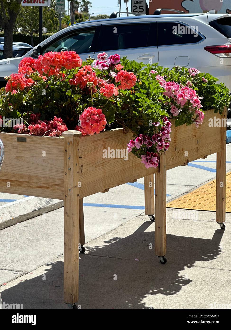 Flower Basket - Smartphone Captured Stock Image