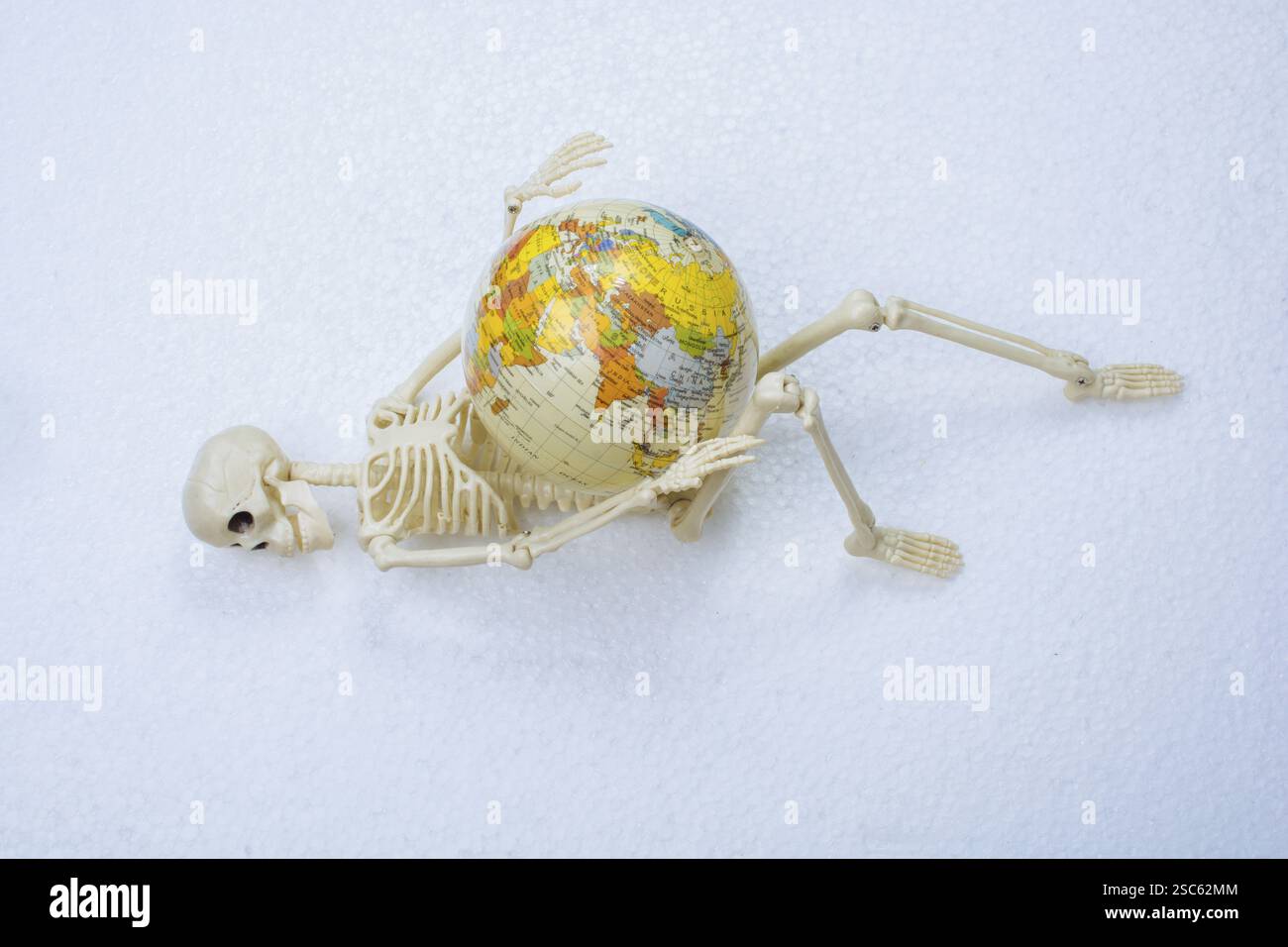 Artificial human body skeleton holding a model globe Stock Photo