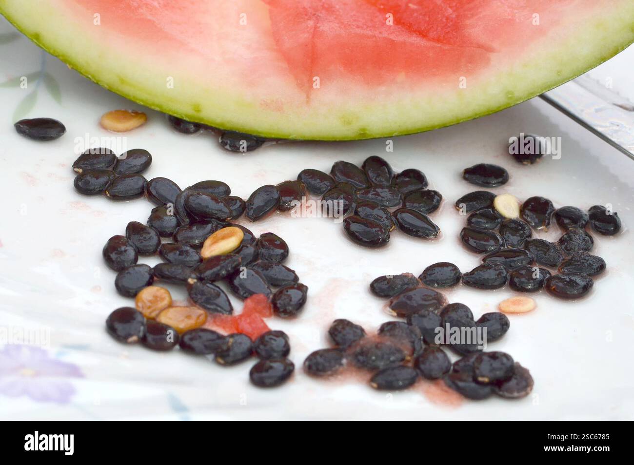 Watermelon seeds on the plate Stock Photo