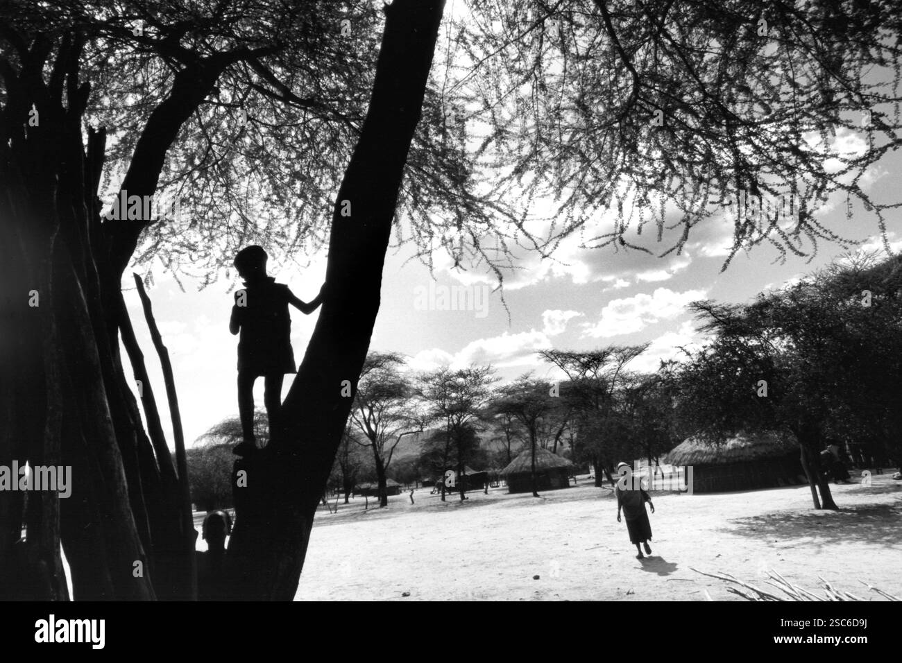 Africa. Ethiopia. Jinka. Tsamai ethnic group Stock Photo