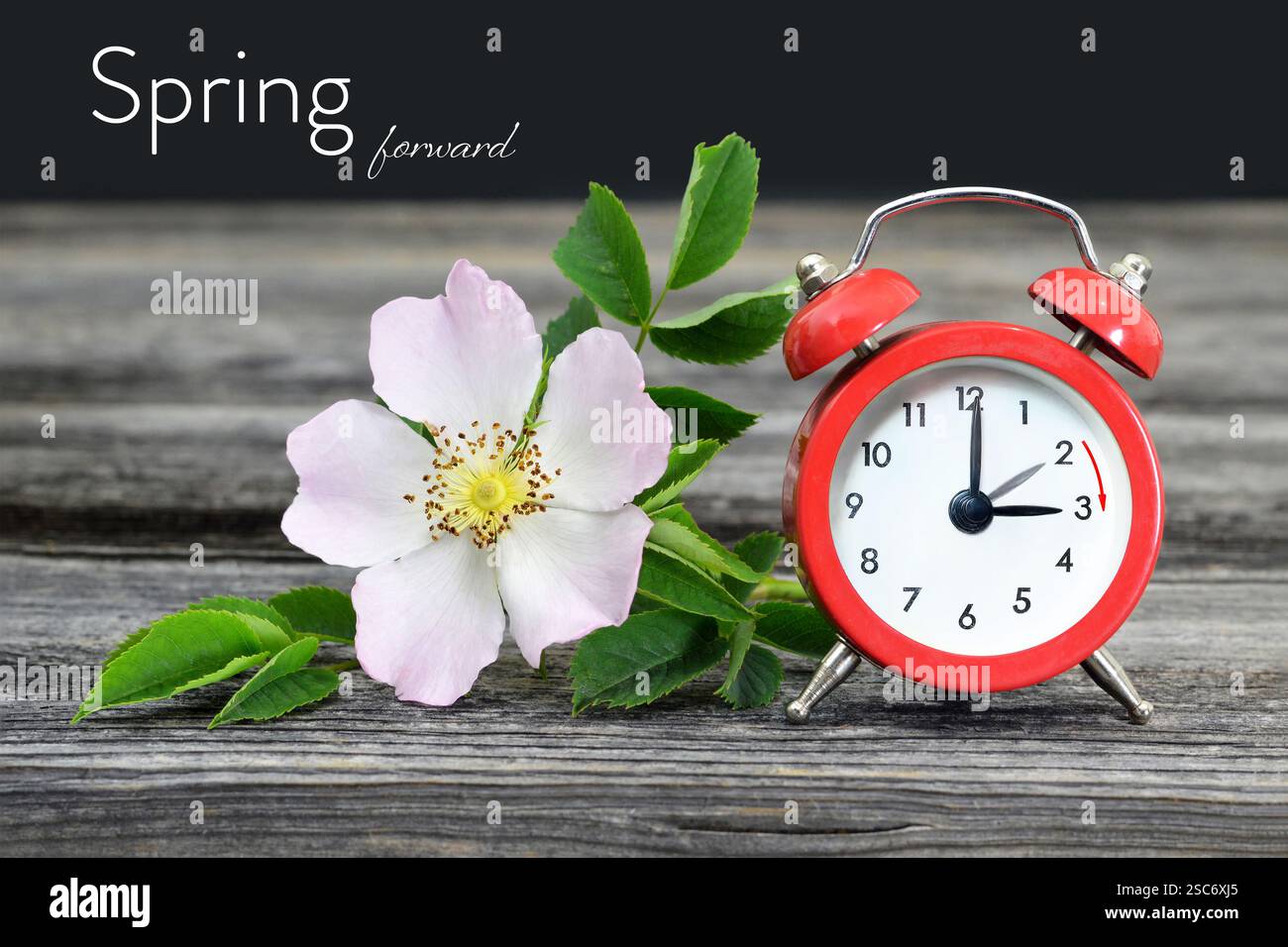 Spring forward. Summer time change Stock Photo