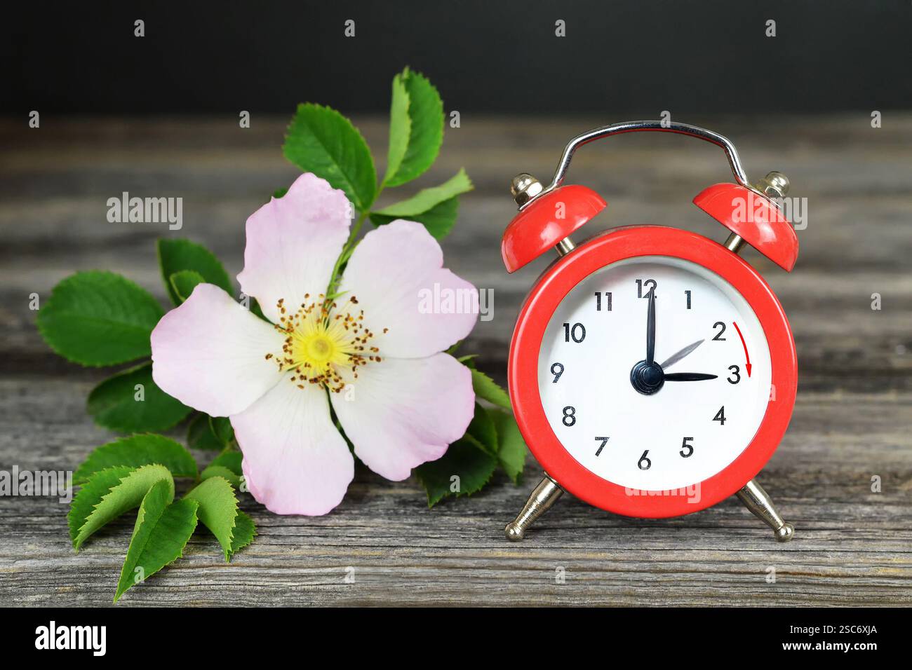 Spring forward. Daylight saving time. Summer time change Stock Photo