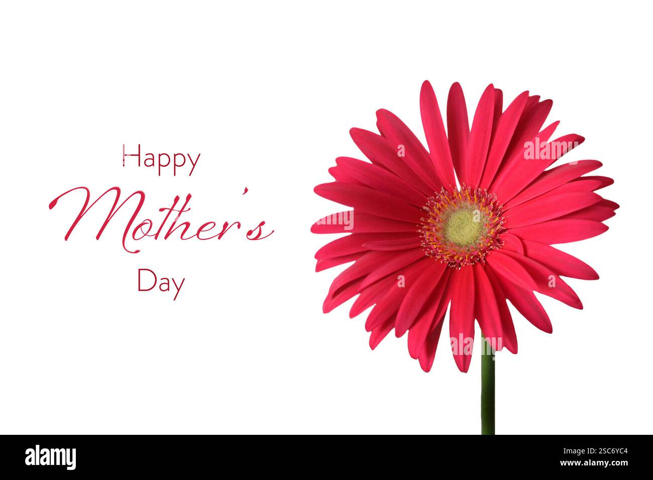 Happy Mothers Day card with gerbera daisy isolated on white background ...