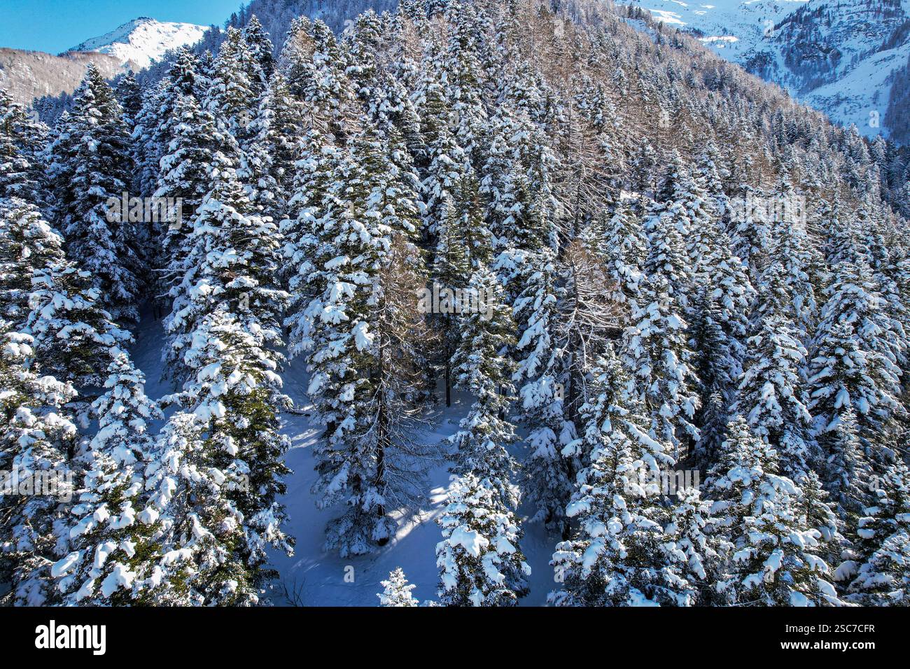 Aerial view snowy forest mountain hi-res stock photography and images ...