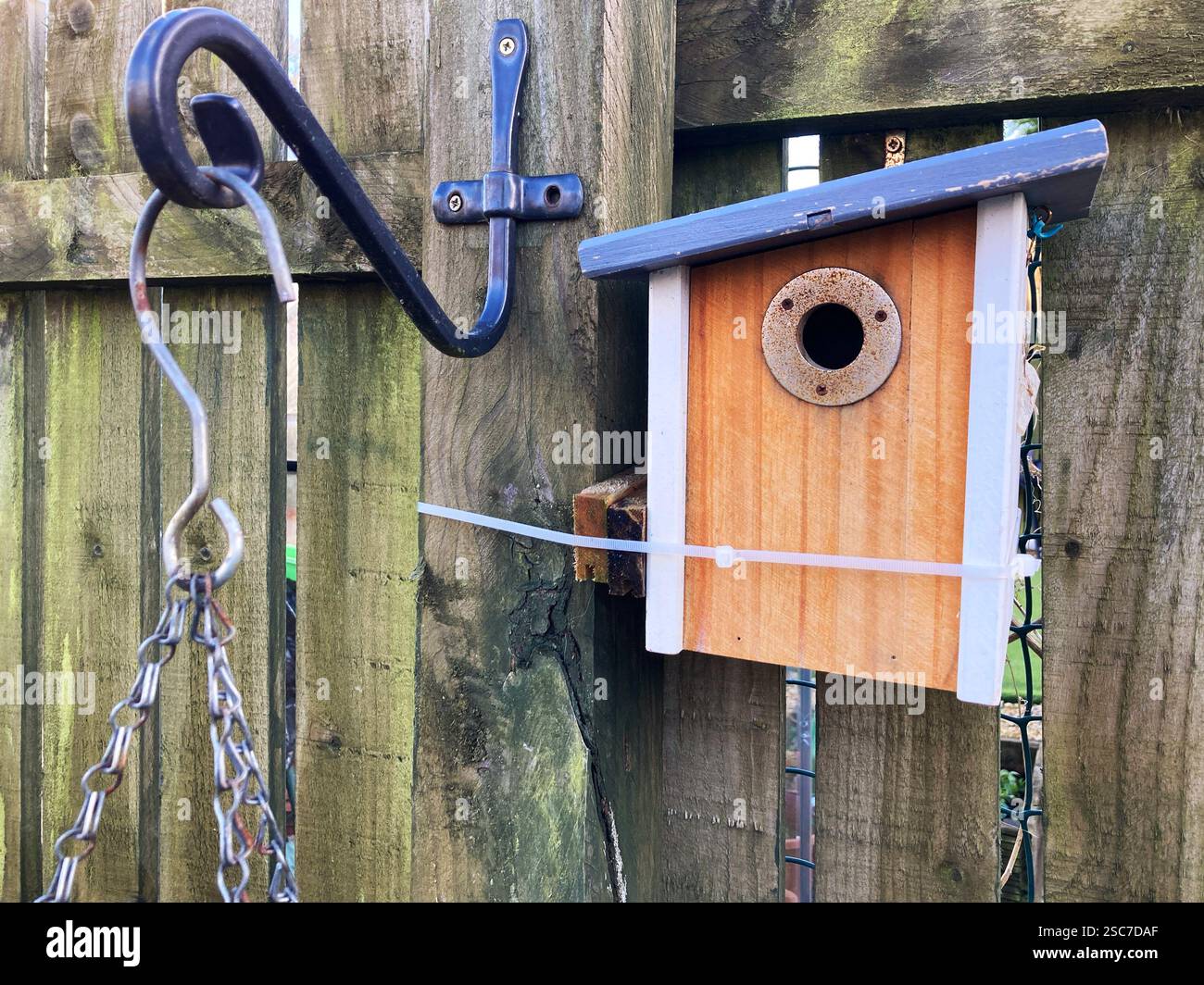 Nestbox attached to wooden fence in a suburban back garden for small birds such as Great Tit and Blue Tit Stock Photo