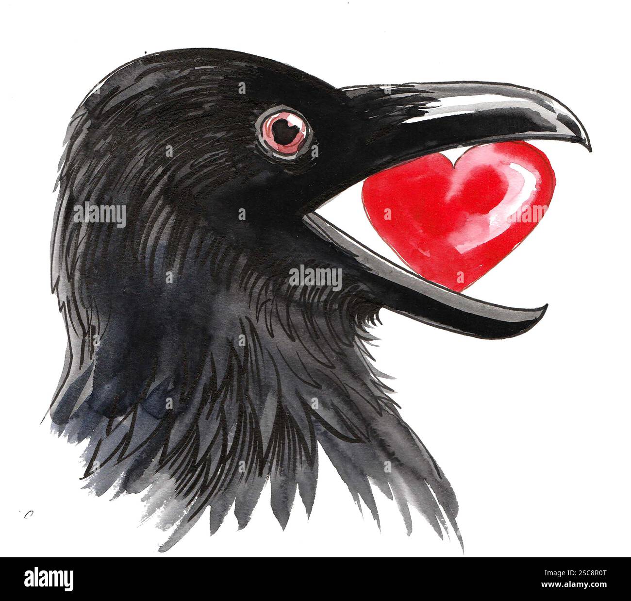 Crow Rfth Crow and heart. Hand drawn watercolour illustration Stock Photo - Alamy