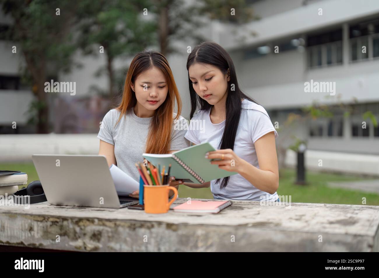 Two studious students collaborating outdoors with notebooks and a laptop, focused on their academic assignments Stock Photo
