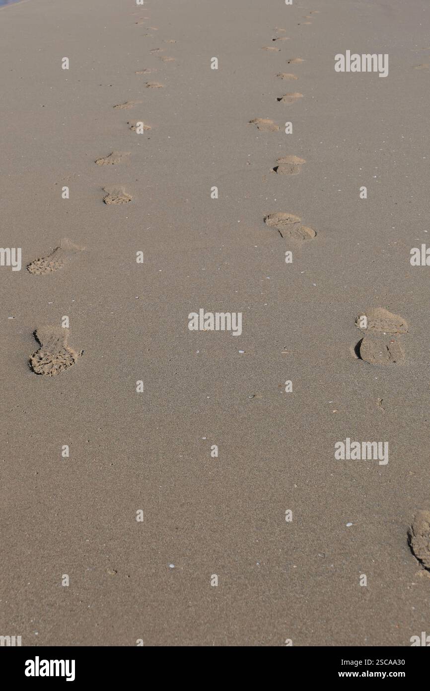 Footsteps sand hi-res stock photography and images - Page 3 - Alamy, image size:866x1390