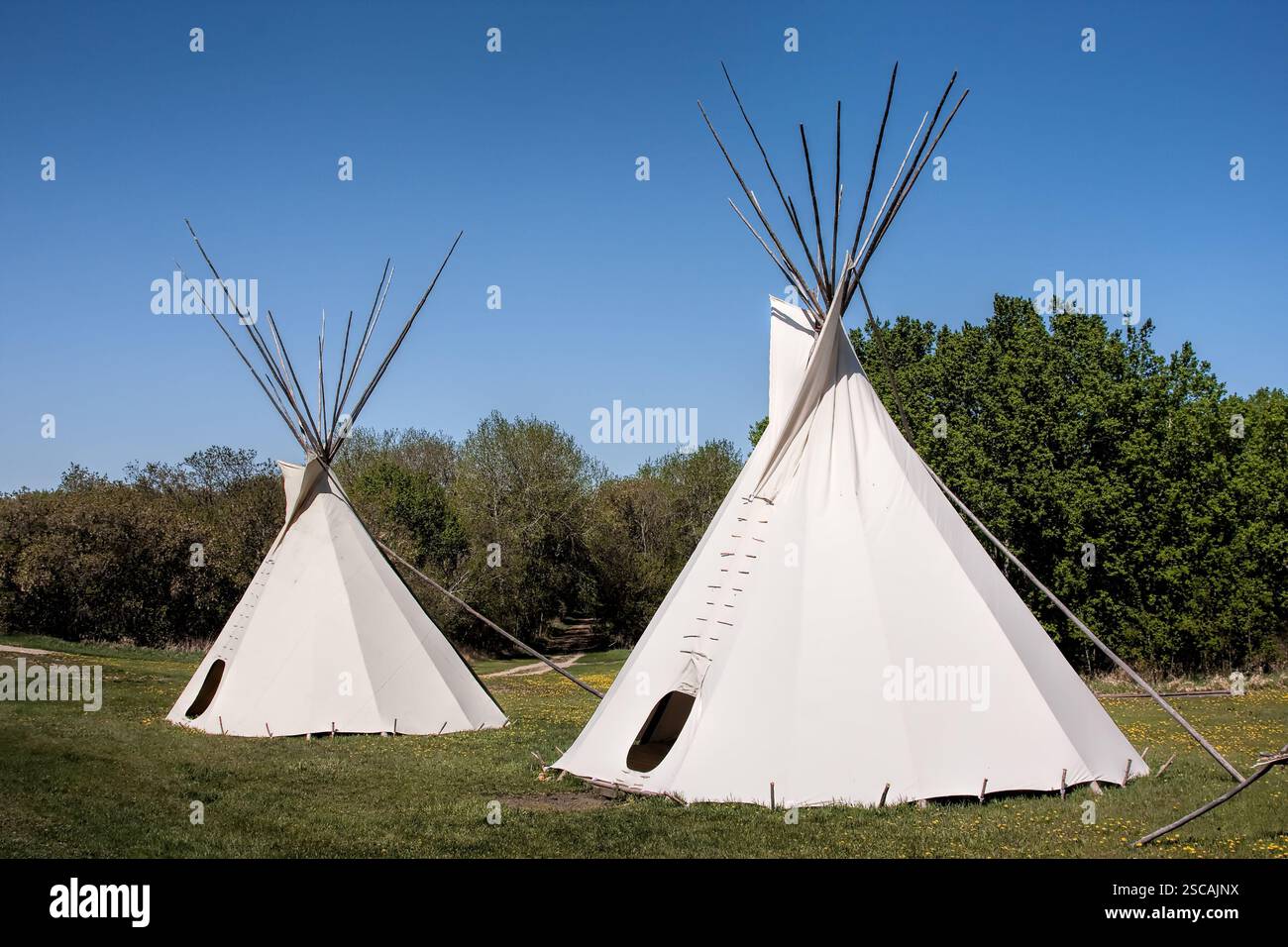 Two teepees are in a field. One is on the left and the other is on the right Stock Photo