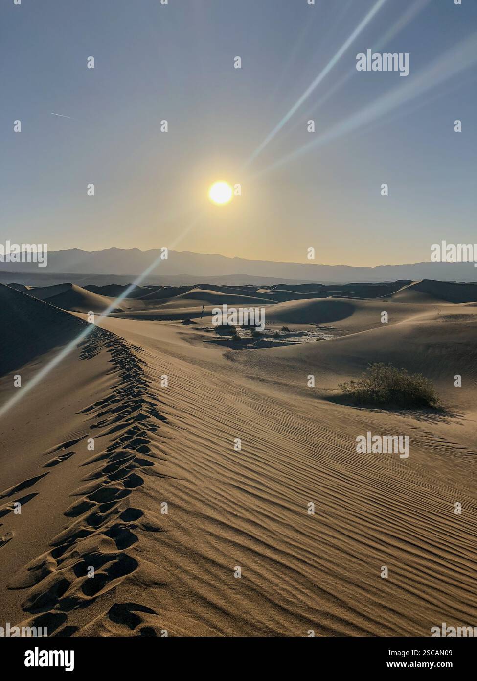 Sunrise Over The Sand Dune - Smartphone Captured Stock Image