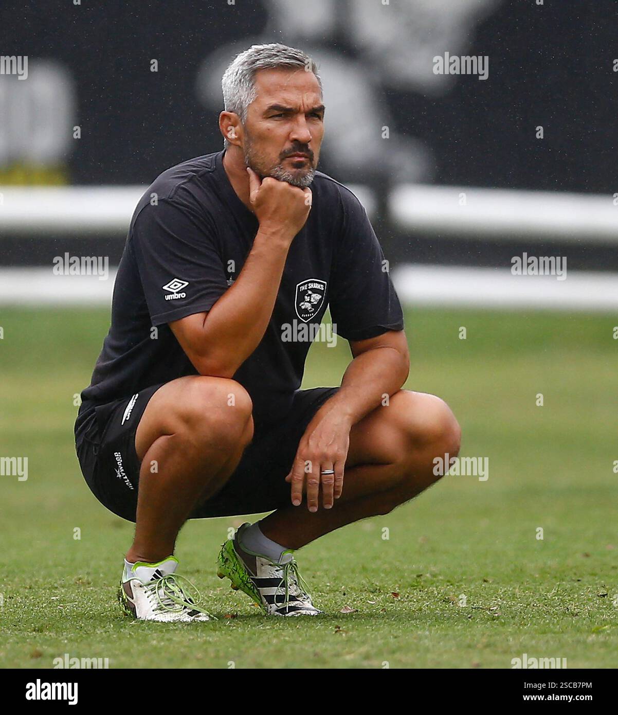 Neil Powell Neil Powell (Director of Rugby) of the Hollywoodbets Sharks during the ...