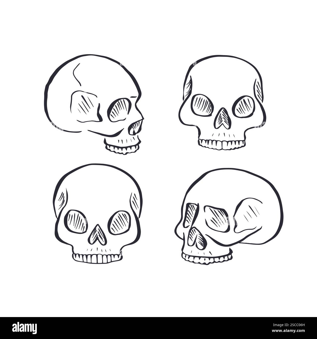 Hand drawn black and white sketchy human skulls set isolated on white ...