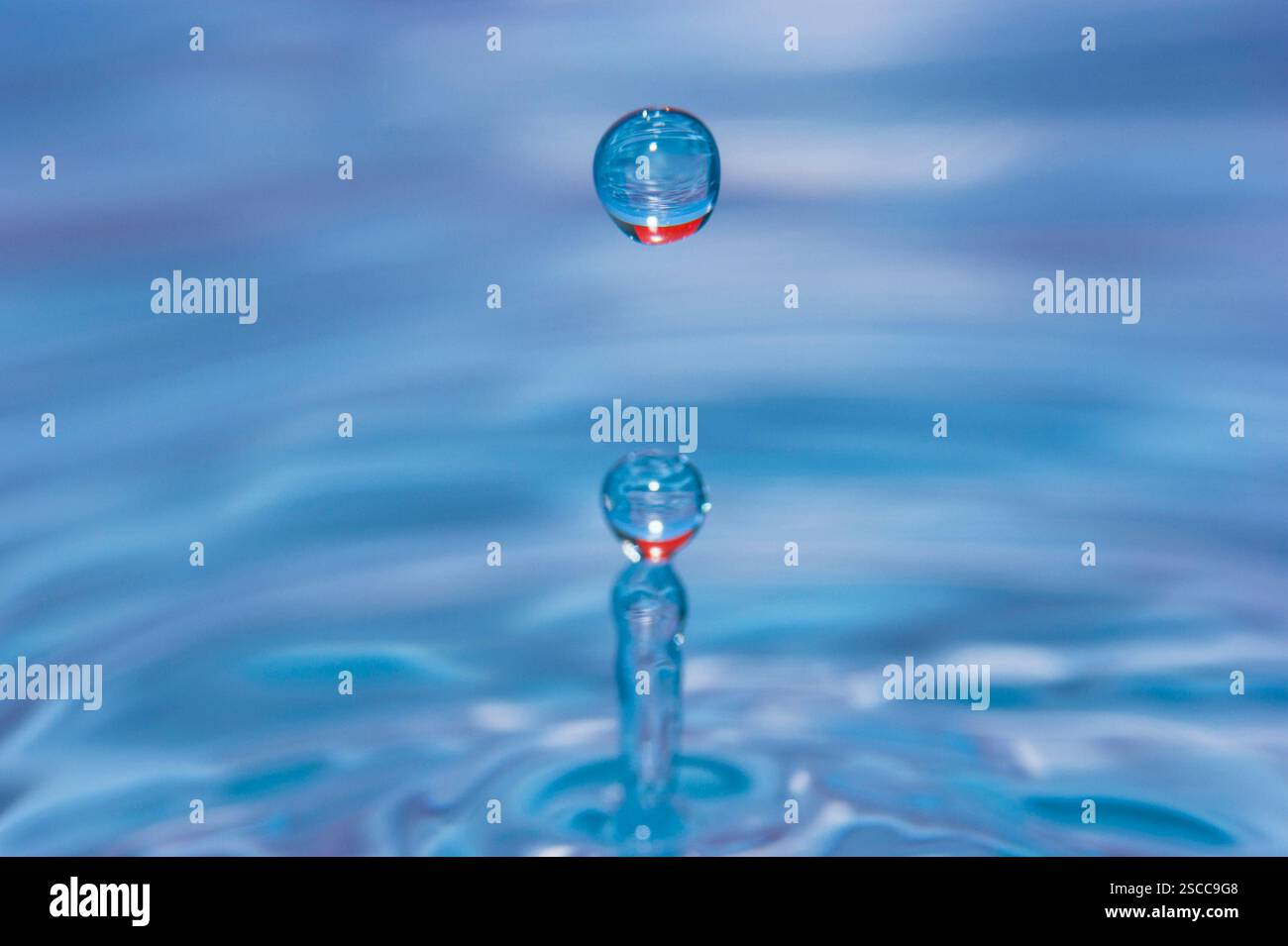 Water drop falling into water making a perfect concentric circles Stock Photo