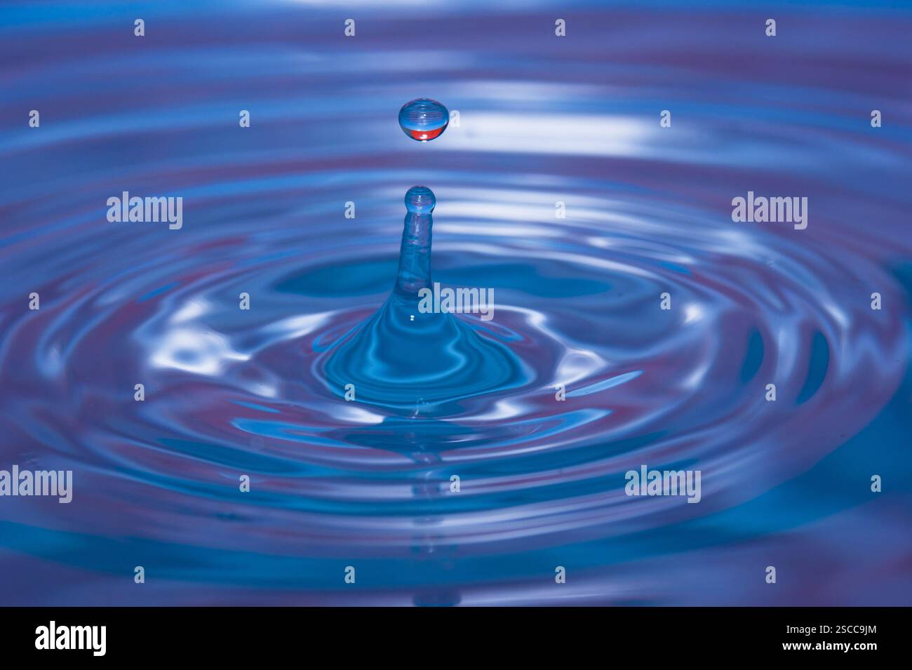Water drop falling into water making a perfect concentric circles Stock Photo