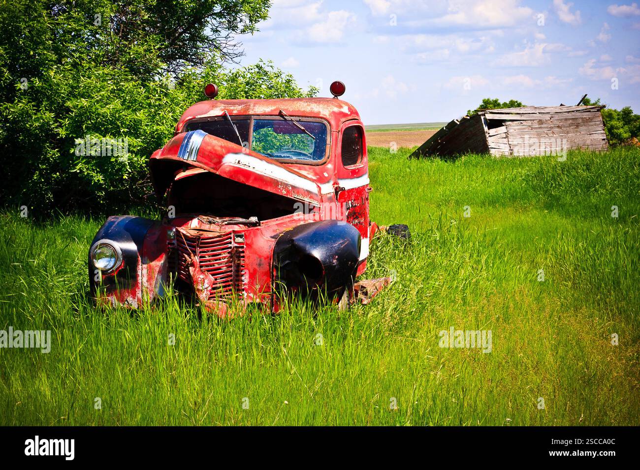 An old red truck is sitting in a field of grass. The truck is rusted ...