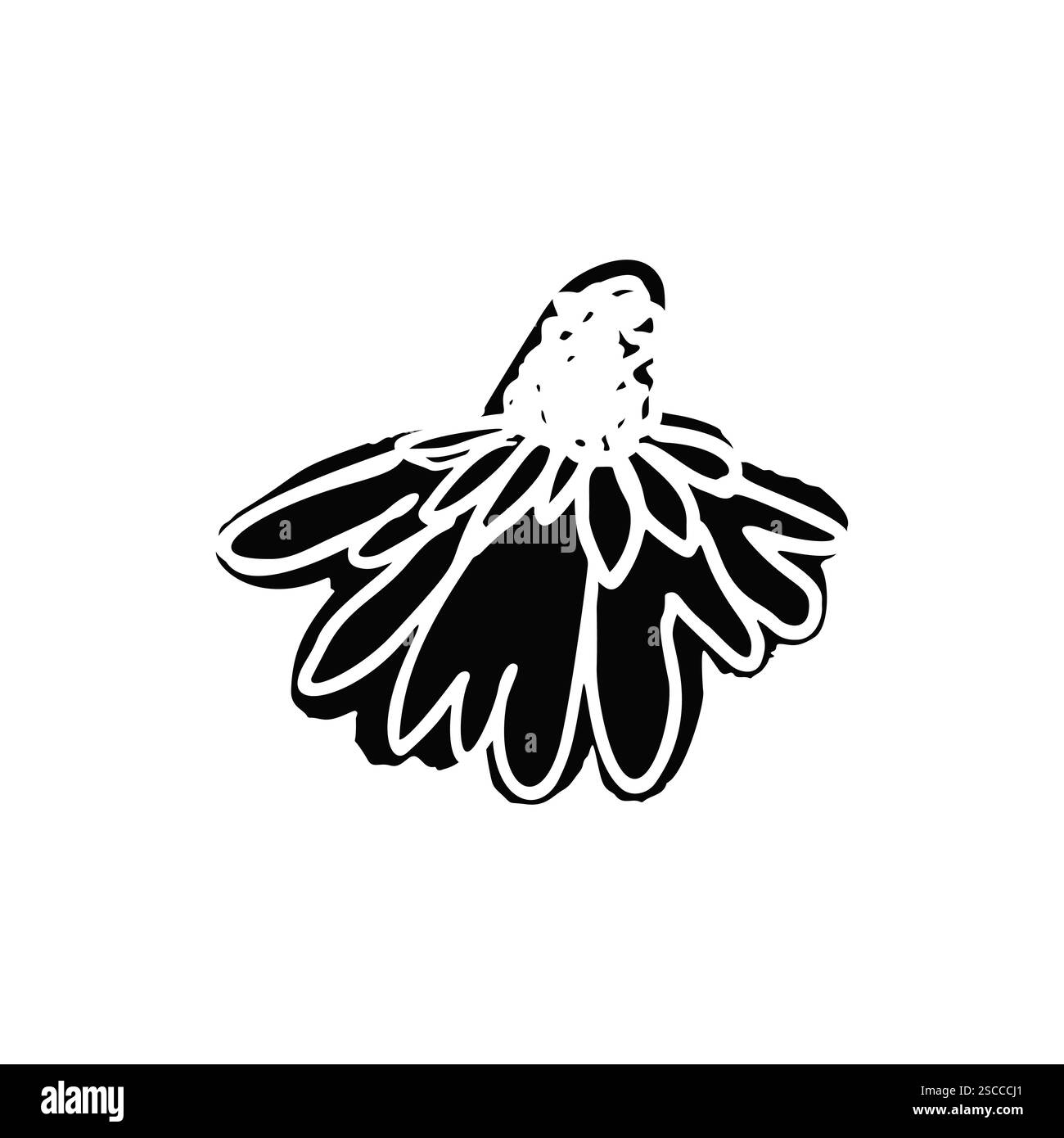 Hand drawn black ink abstract daisy flower silhouette isolated on white ...