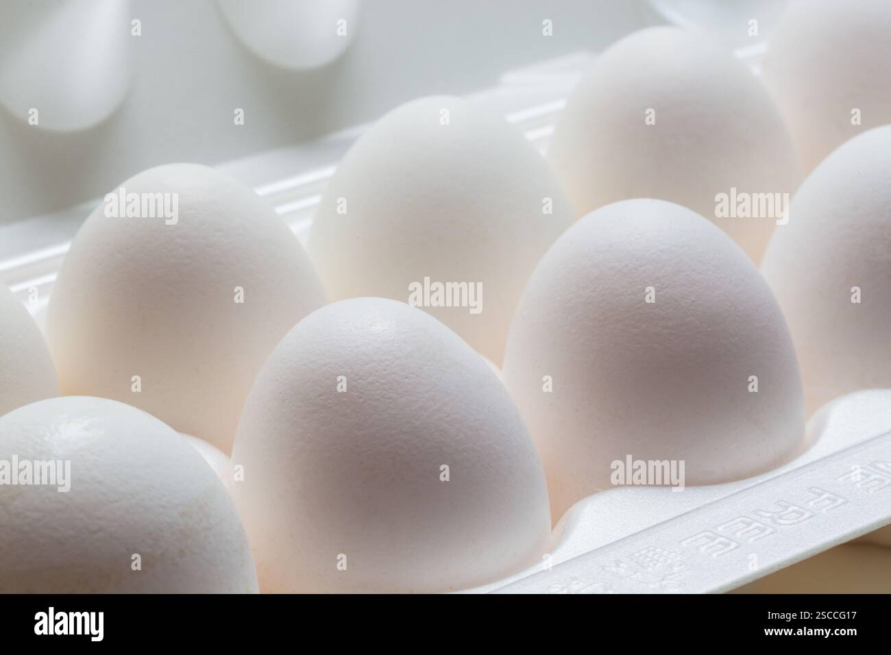 Chicken eggs in the cassette box on a white background Stock Photo - Alamy