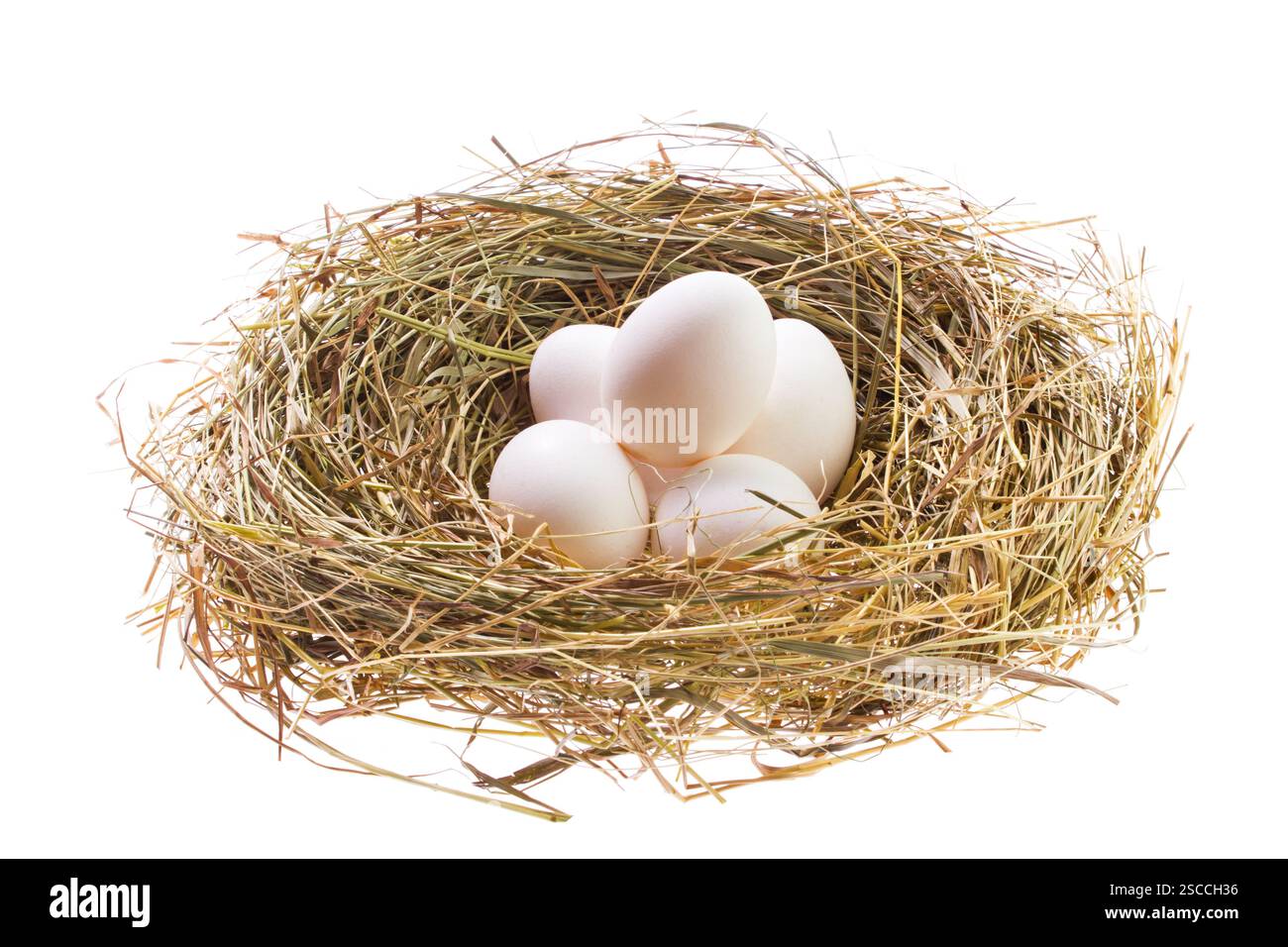 Nest with Easter eggs isolated on white background Stock Photo - Alamy