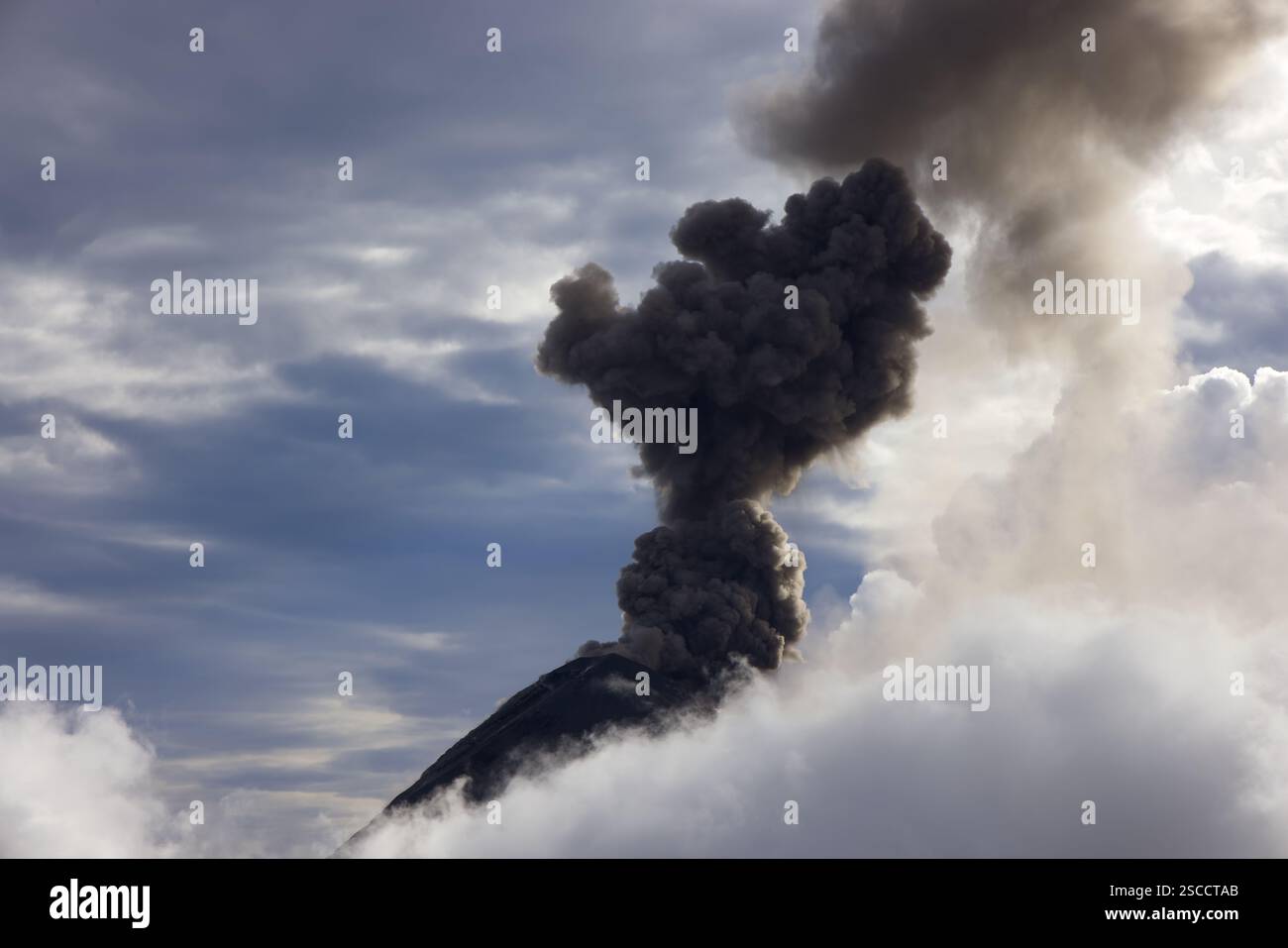 Explosive eruption of Fuego volcano, Guatemala Stock Photo - Alamy