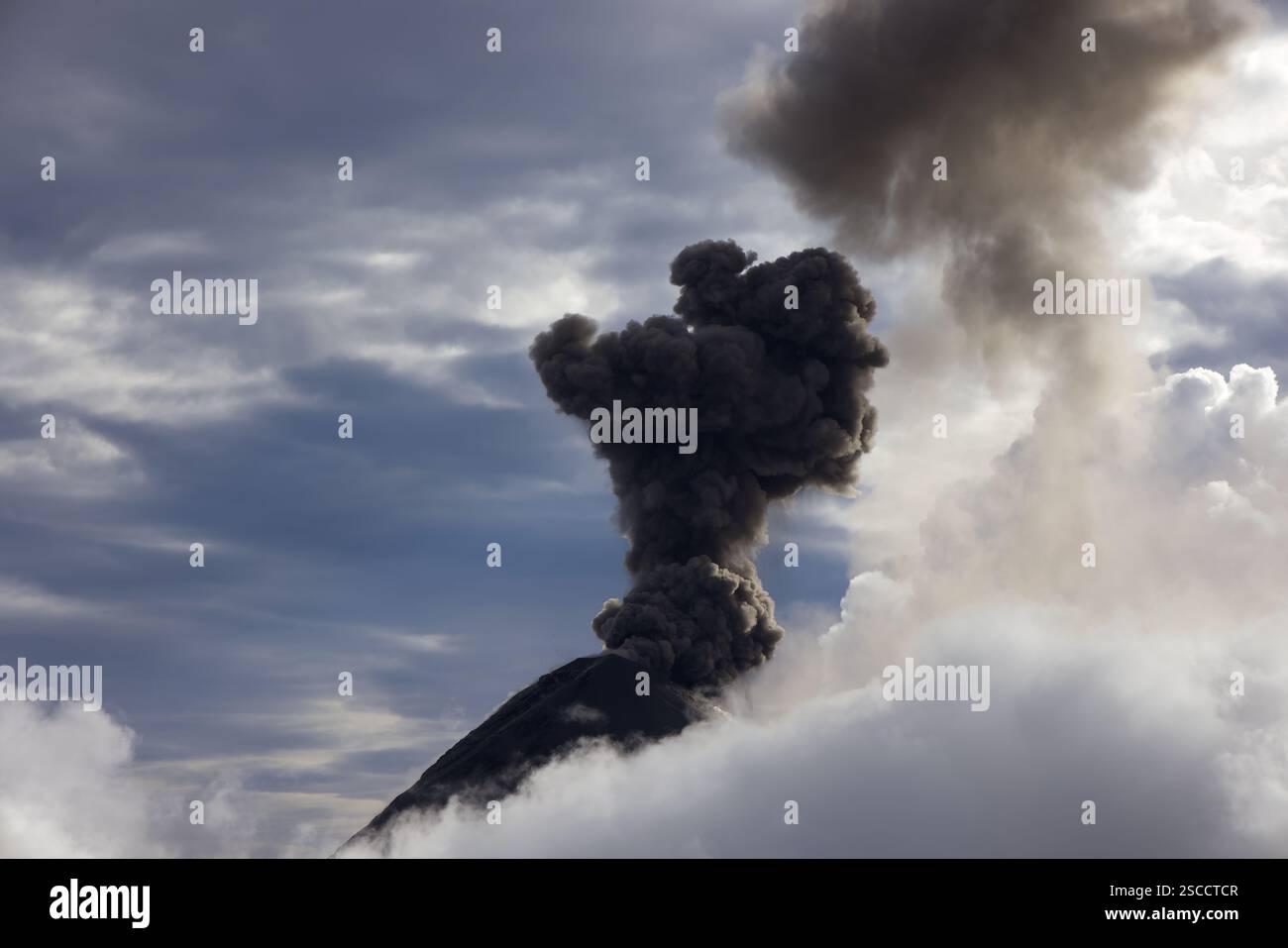 Explosive eruption of Fuego volcano, Guatemala Stock Photo - Alamy