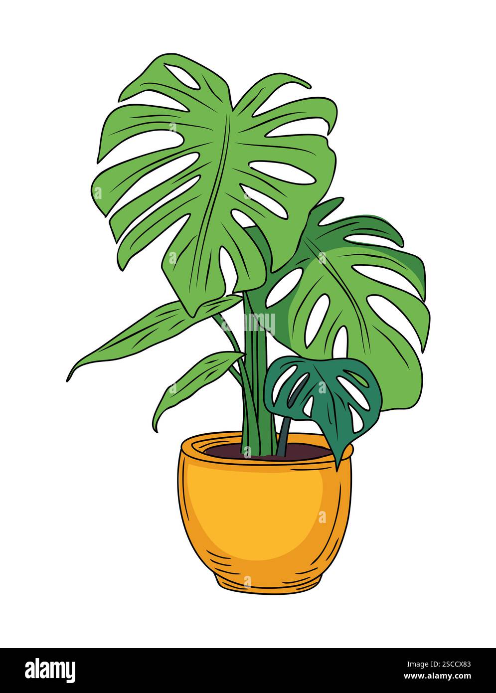 poster monstera Sage Green Monstera Leaves Canvas Posters