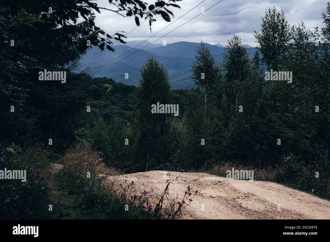 The sweeping view of the mountains stretches across the horizon Stock ...