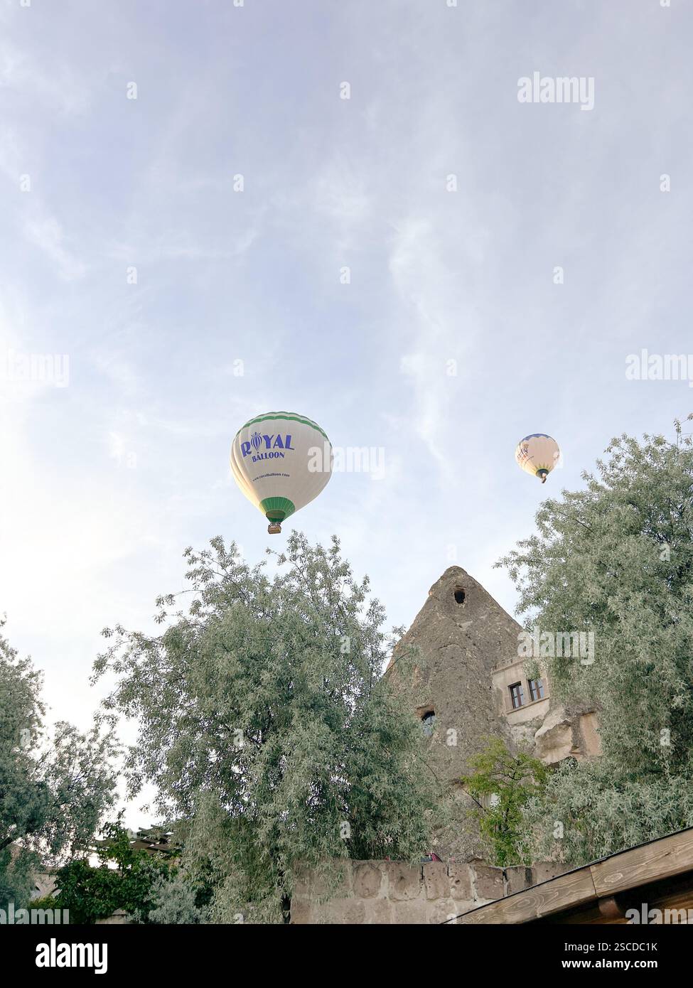 Cappadocia Hot Air Balloon Flying Over Trees | Turkey - Smartphone Captured Stock Image