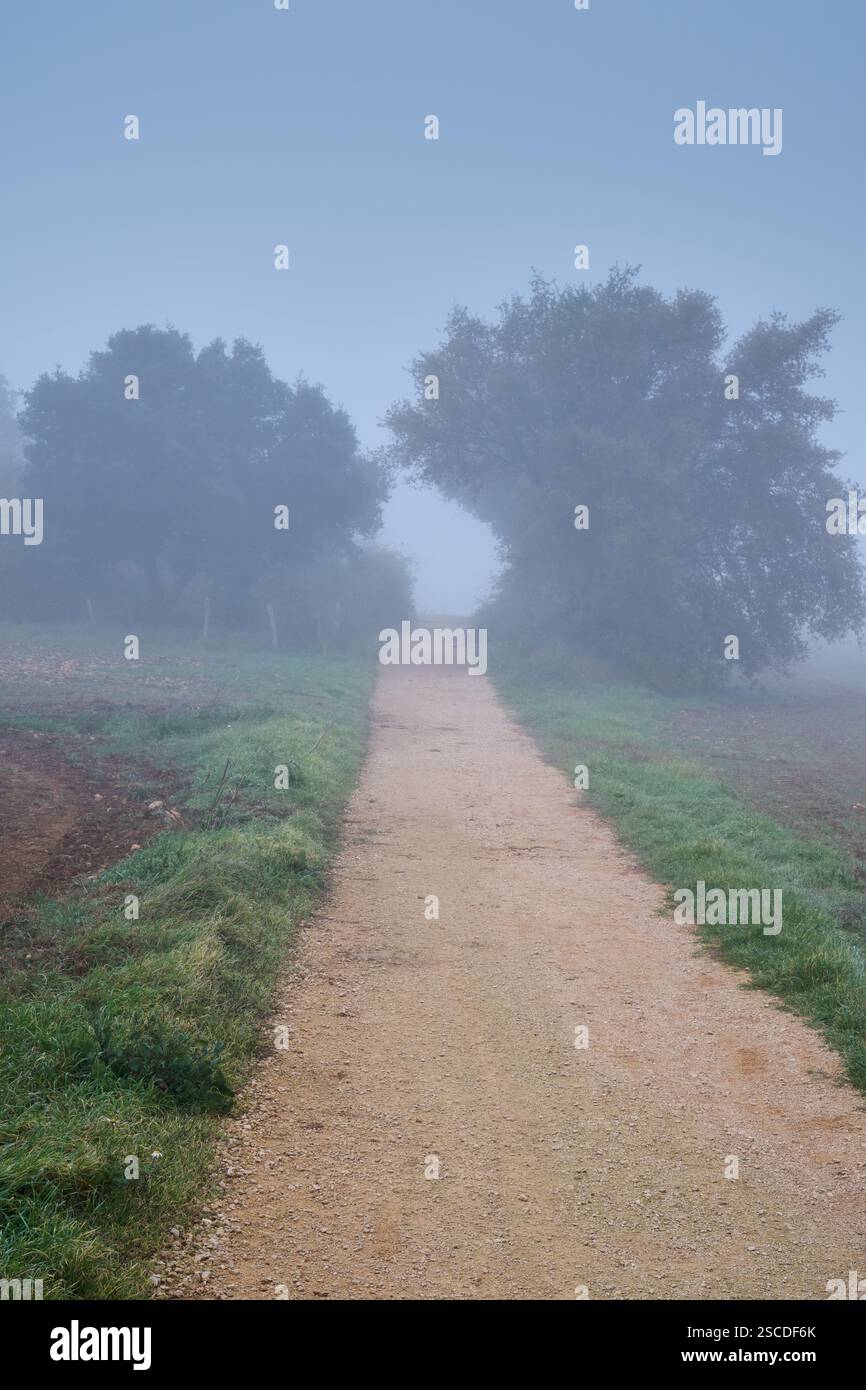 Misty pathway through the foggy countryside landscape Stock Photo - Alamy