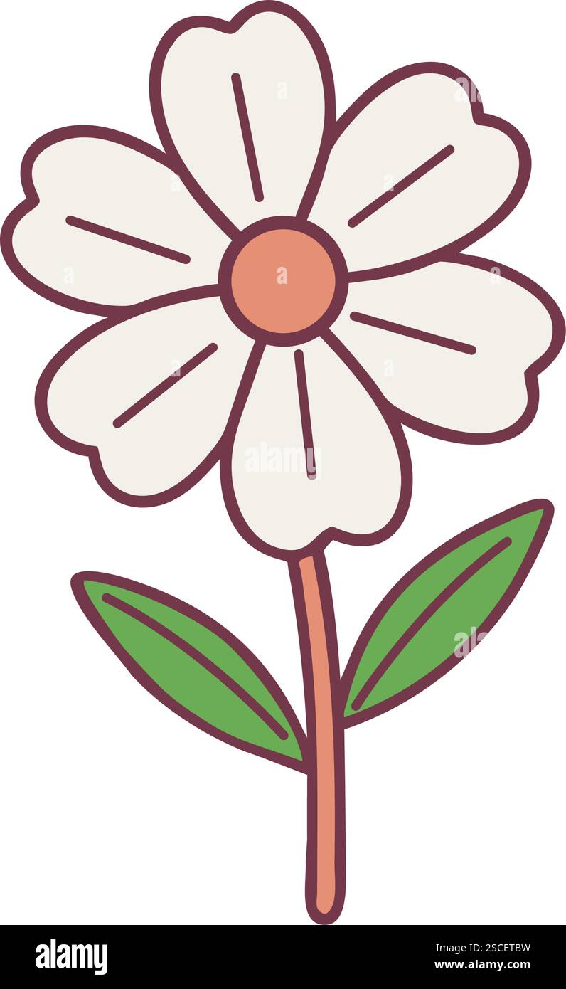 Wildflower daisy floral illustration Stock Vector Image & Art - Alamy
