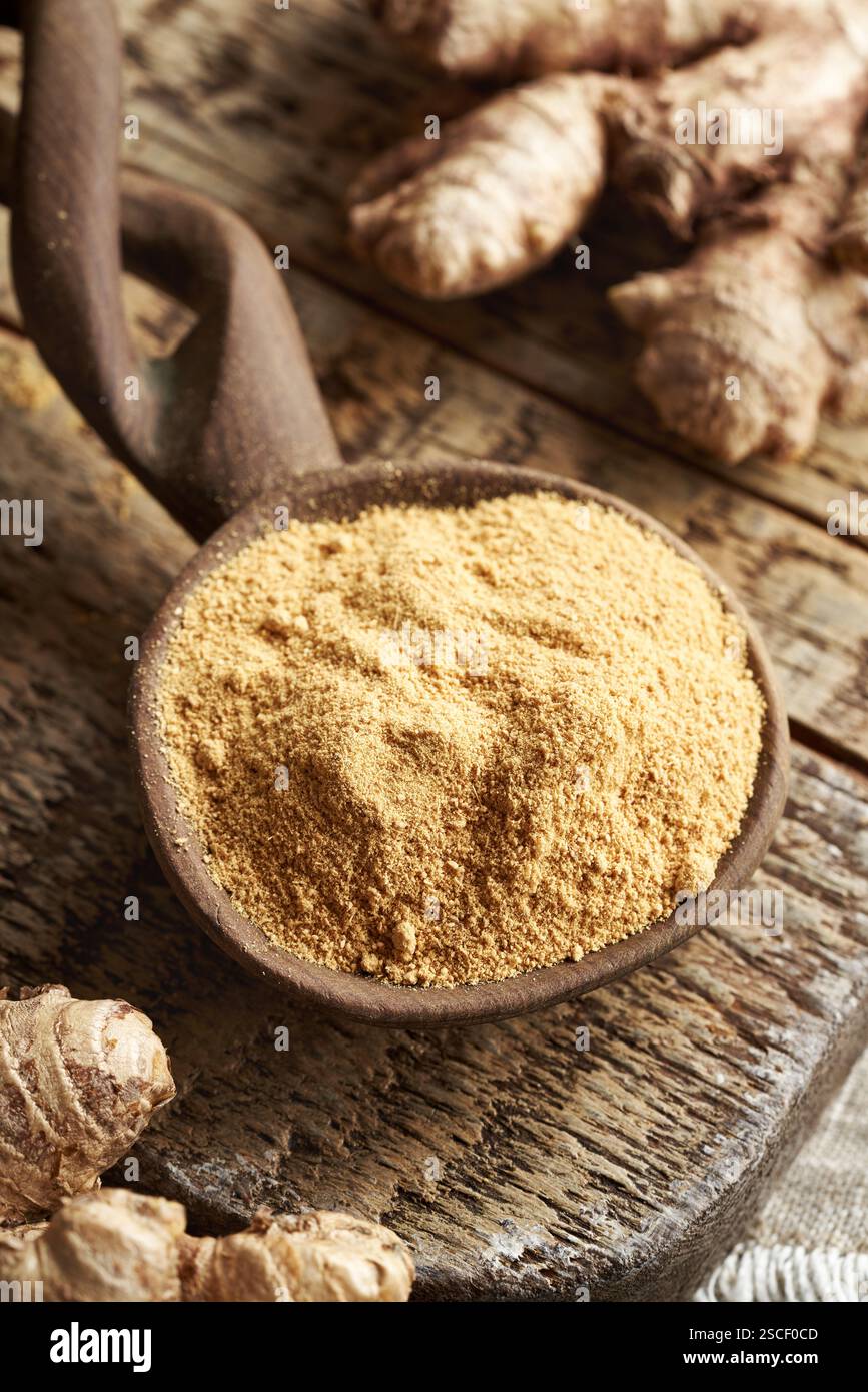 Ground ginger powder on a spoon with fresh ginger root Stock Photo
