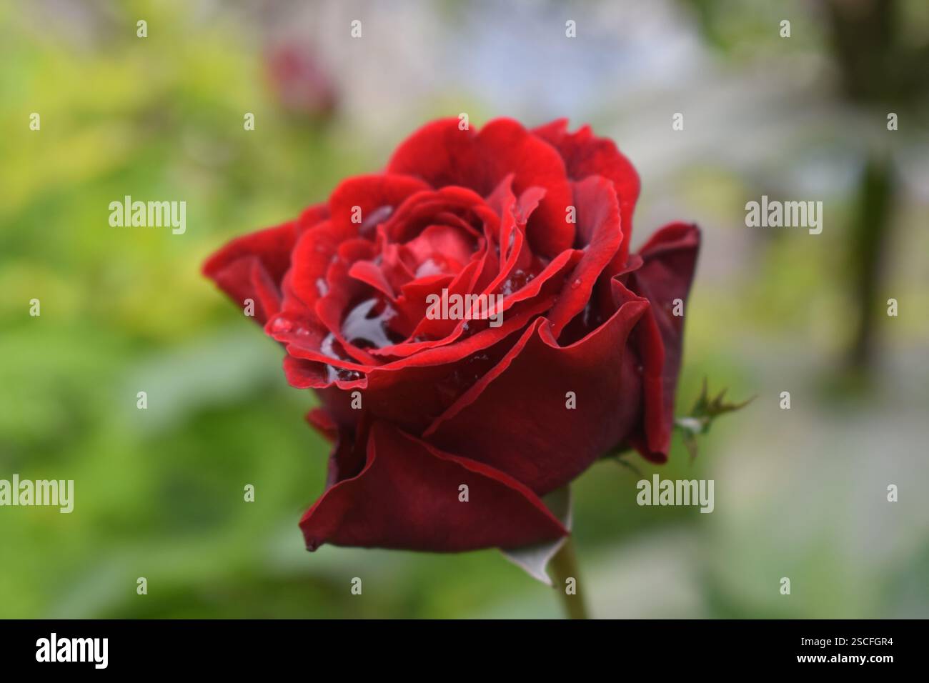 Diversidad de estaciones hi-res stock photography and images - Alamy