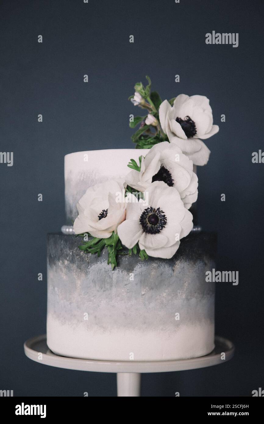 A beautifully crafted two-tier cake showcases a gradient design in soft ...