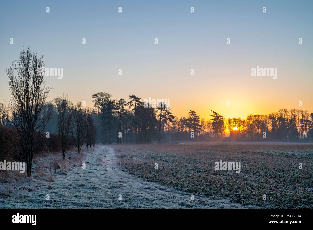 Winter sunrise across fields and trees. Great Tew, Cotswolds, Oxfordshire, England Stock Photo