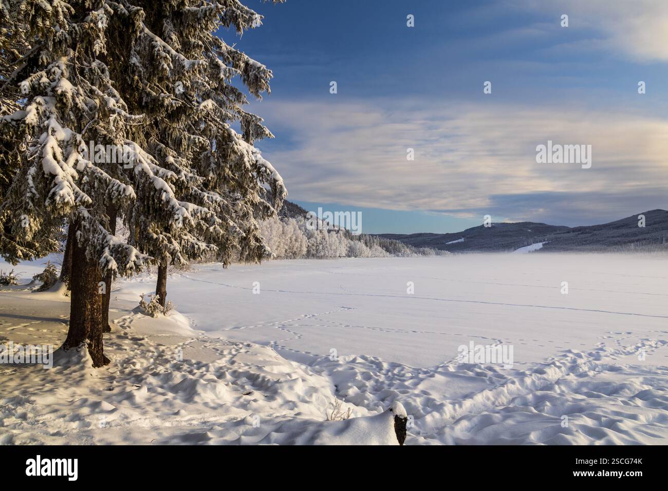 Tracks crisscross the snowy lake, fading into rising fog. A heavy cloud ...