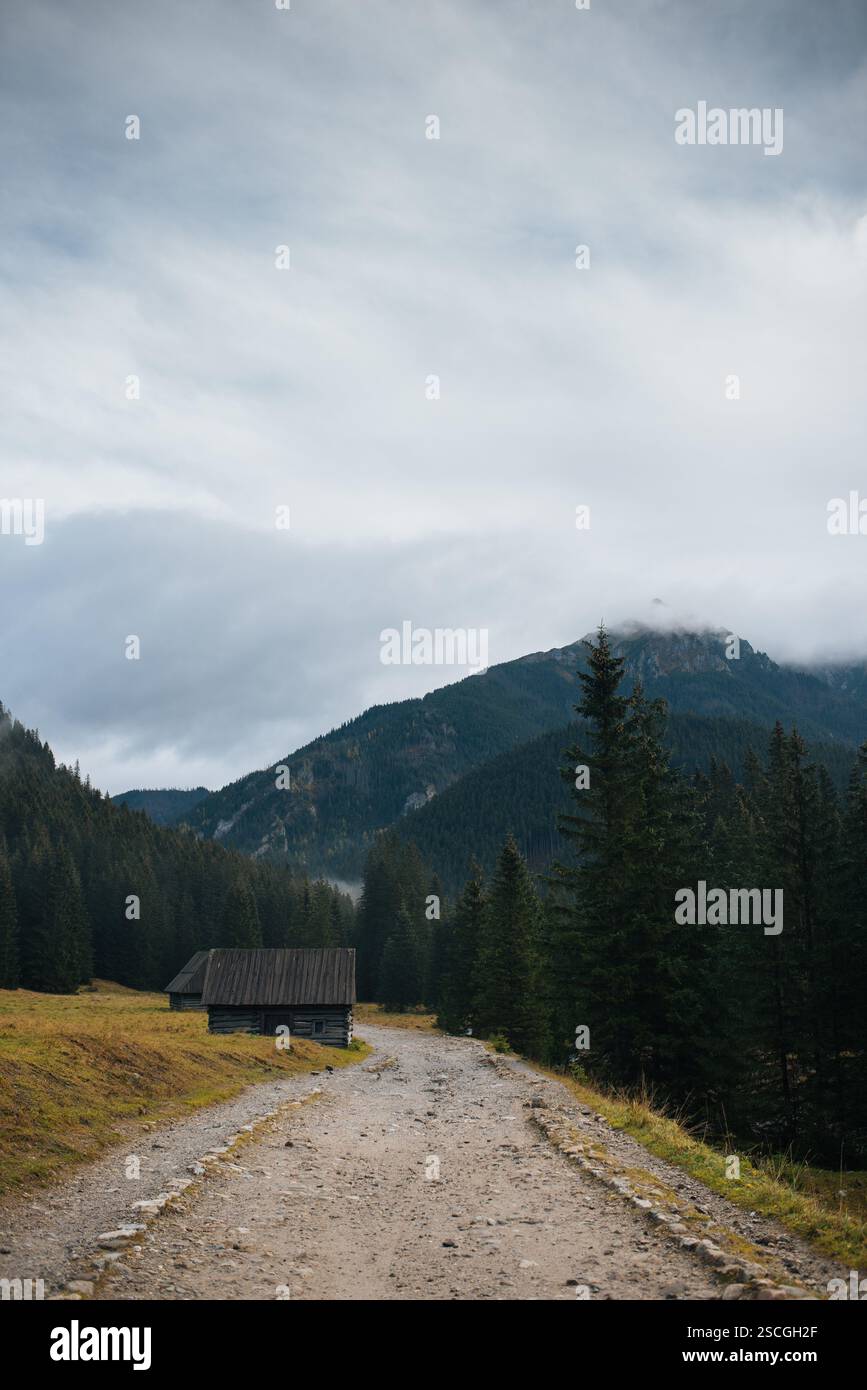 Mountain hut in the greenery of the mountains Stock Photo