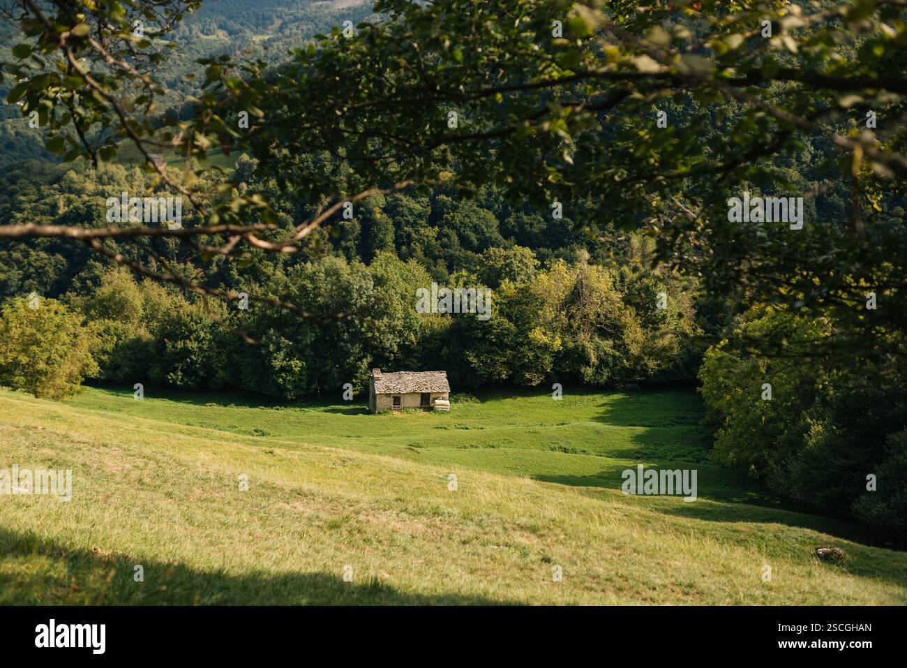 Mountain hut in the greenery of the mountains Stock Photo
