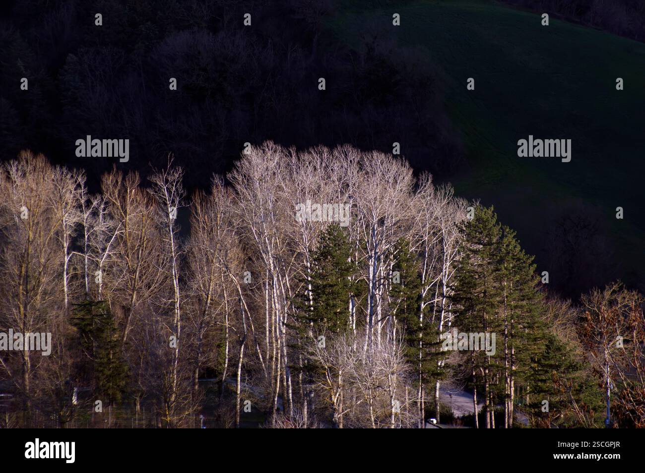 Sfondo buio hi-res stock photography and images - Alamy