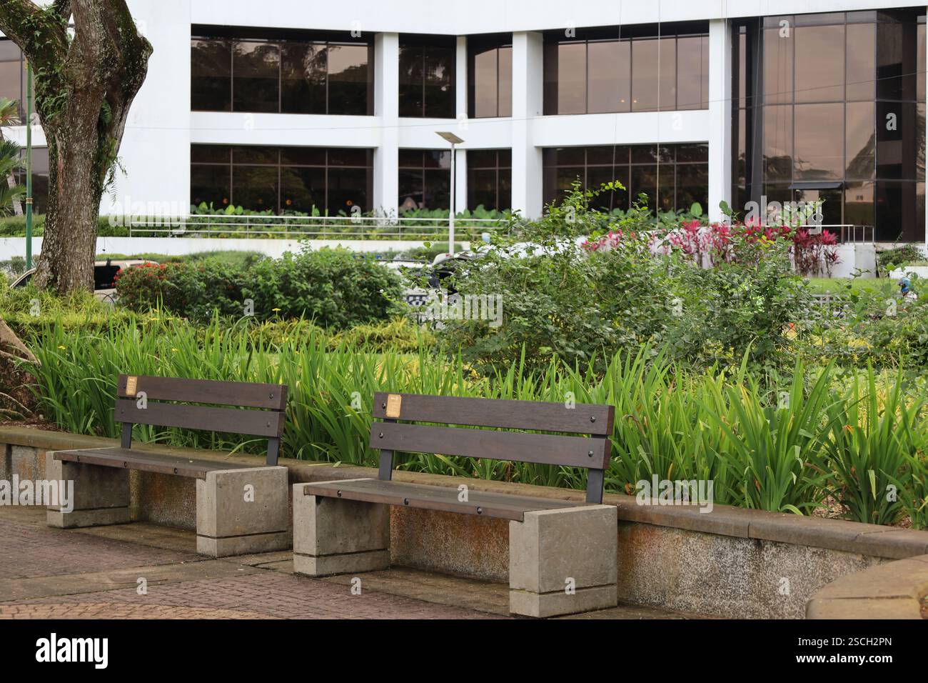 Tiered landscape stepped garden hi-res stock photography and images - Alamy