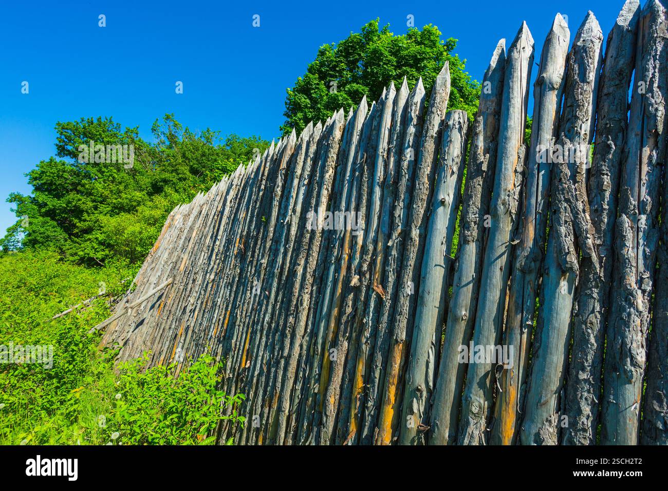 Wooden fence on a forest and blue sky background Stock Photo - Alamy