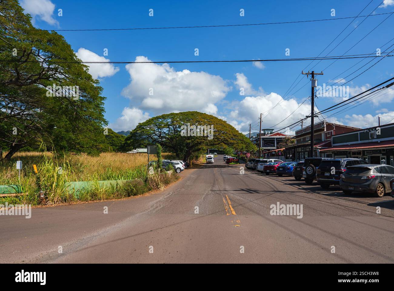 Sunny Rural Street Scene with Large Tree and Small Storefronts Stock Photo